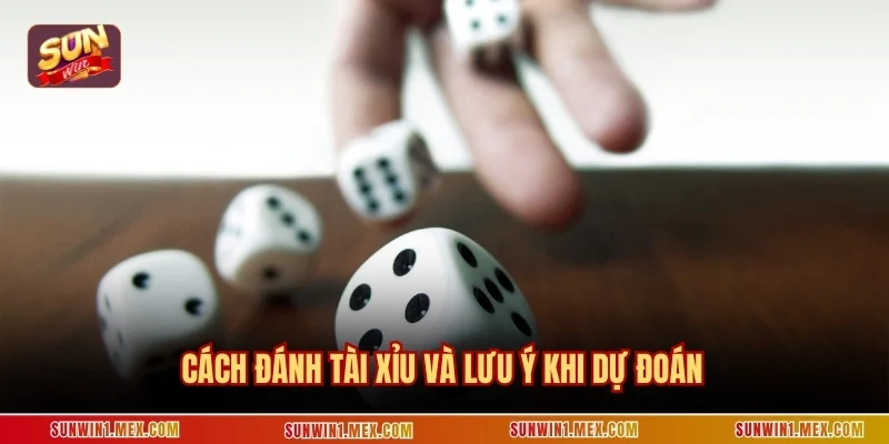 Cách đánh tài xỉu và lưu ý khi dự đoán