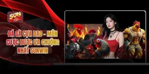 Đá gà cựa dao