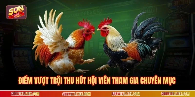 Điểm vượt trội thu hút hội viên tham gia chuyên mục