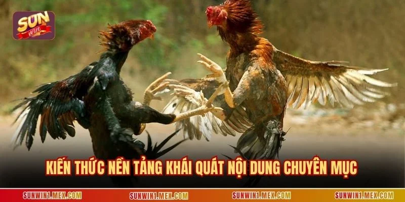 Kiến thức nền tảng khái quát nội dung chuyên mục