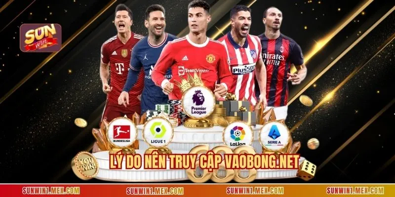 Lý do nên truy cập Vaobong.net