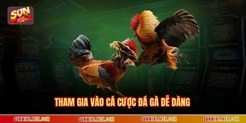 Tham gia vào cá cược đá gà dễ dàng